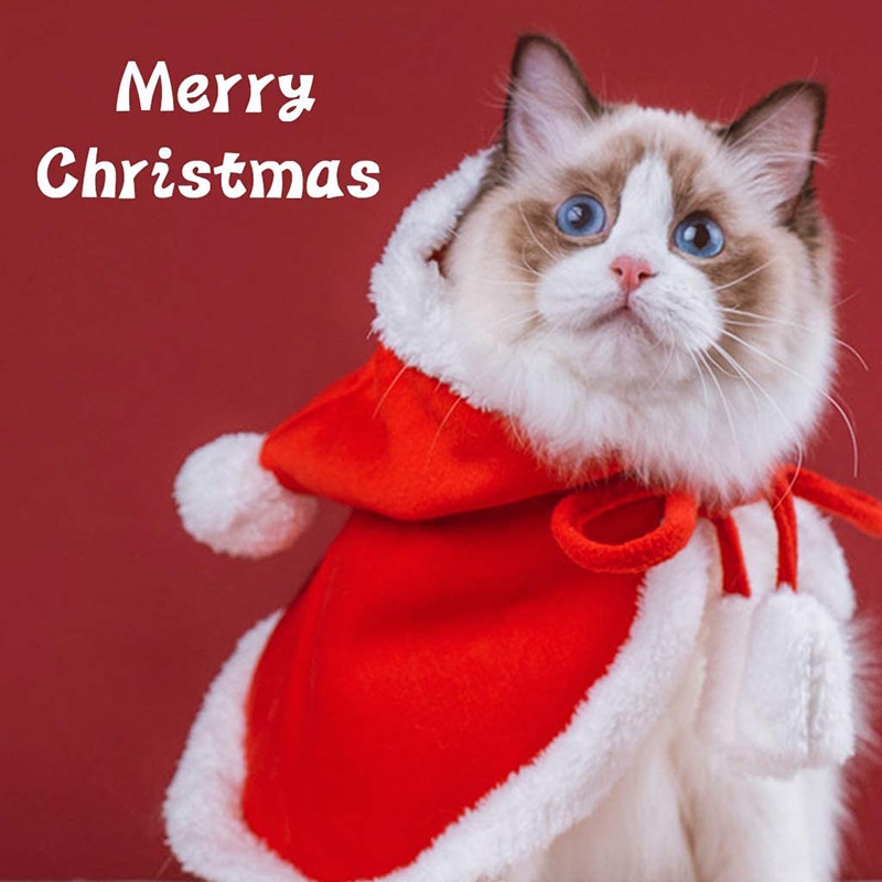 Kerst Hond Kat Kleding Mantel Kleine Kat Mantel Hooded Santa Kostuum Voor Pug Hond Kat Kleding Warm