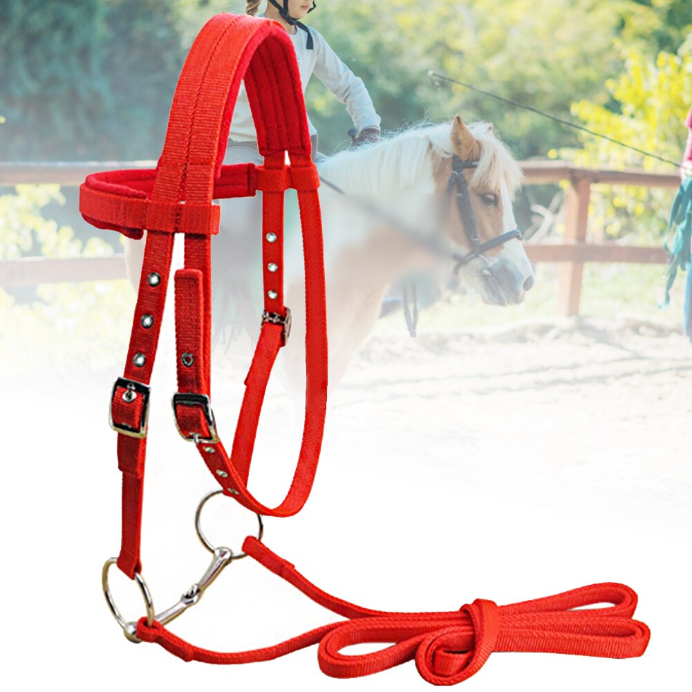 Thicken Protective Soft Sports Bridle Riding Equipment Adjustable Strap Horse Halter With Bit Throat Snap Winter Rein Belt