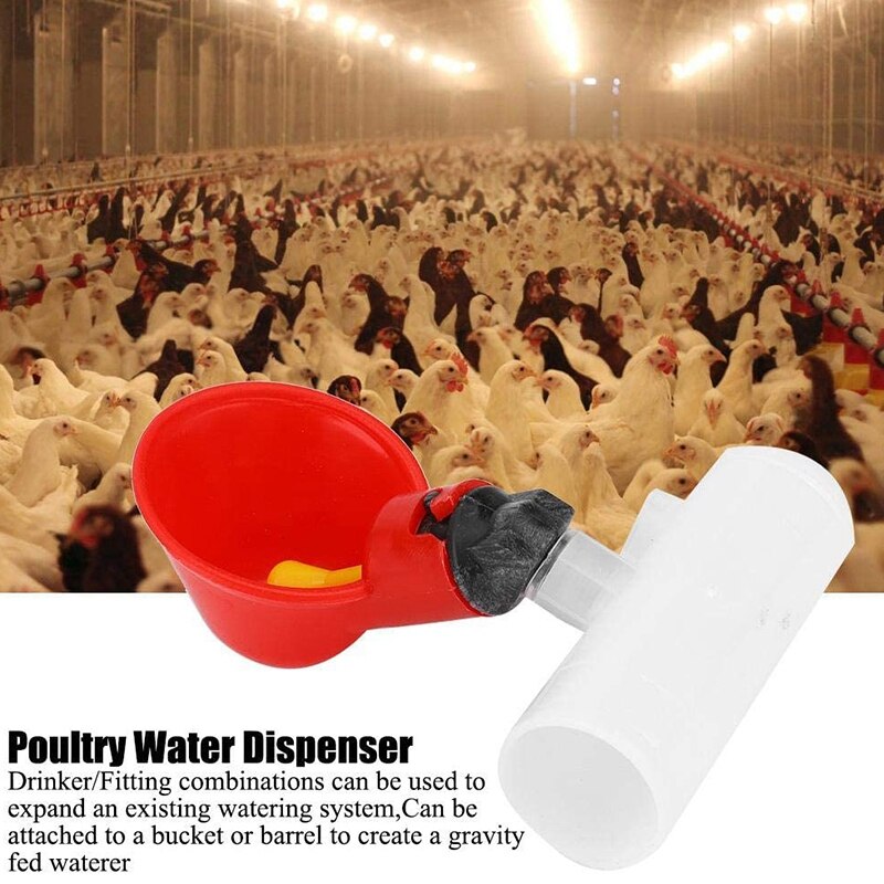 Abreuvoir automatique en plastique rouge, 10 pièces, pour poulet, canard, oiseau, caille, Pigeon, poule