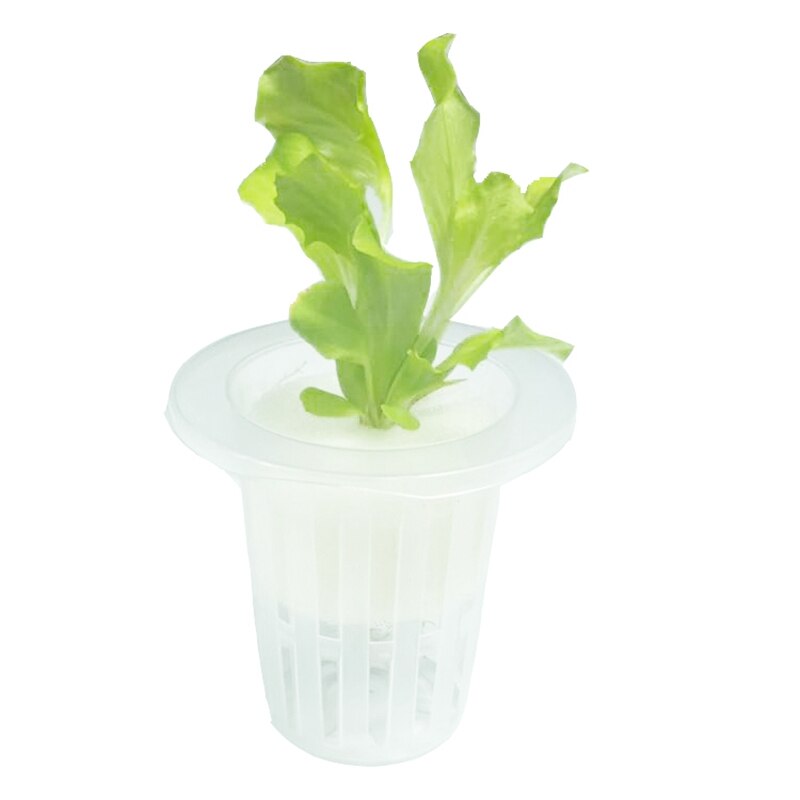 50pcs Hydroponic Sponge 25-45mm Balcony Growing Vegetables Rooting Sponge Greenhouse Soilless Cultivation DIY Sponge