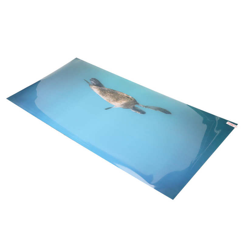 Aquarium Background Paper Clear Image Fish Tank Decoration Poster PVC for Underwater