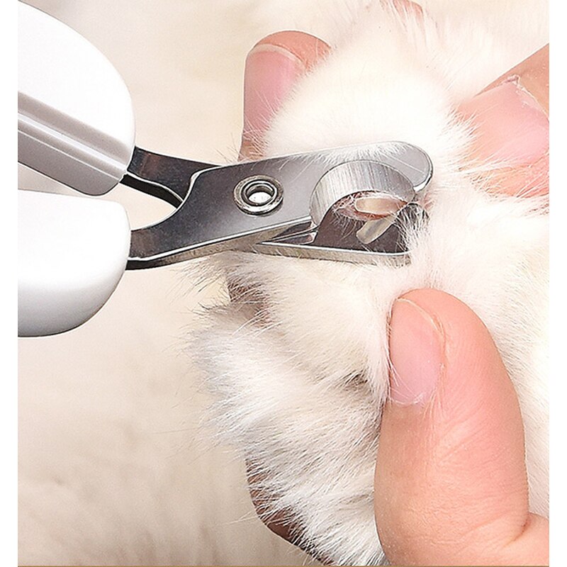 Hoopet Professionele Huisdier Kat Nagelknipper Kat Puppy Nail Grinder Rvs Grooming Schaar Veilig Pet Cleaning Supply