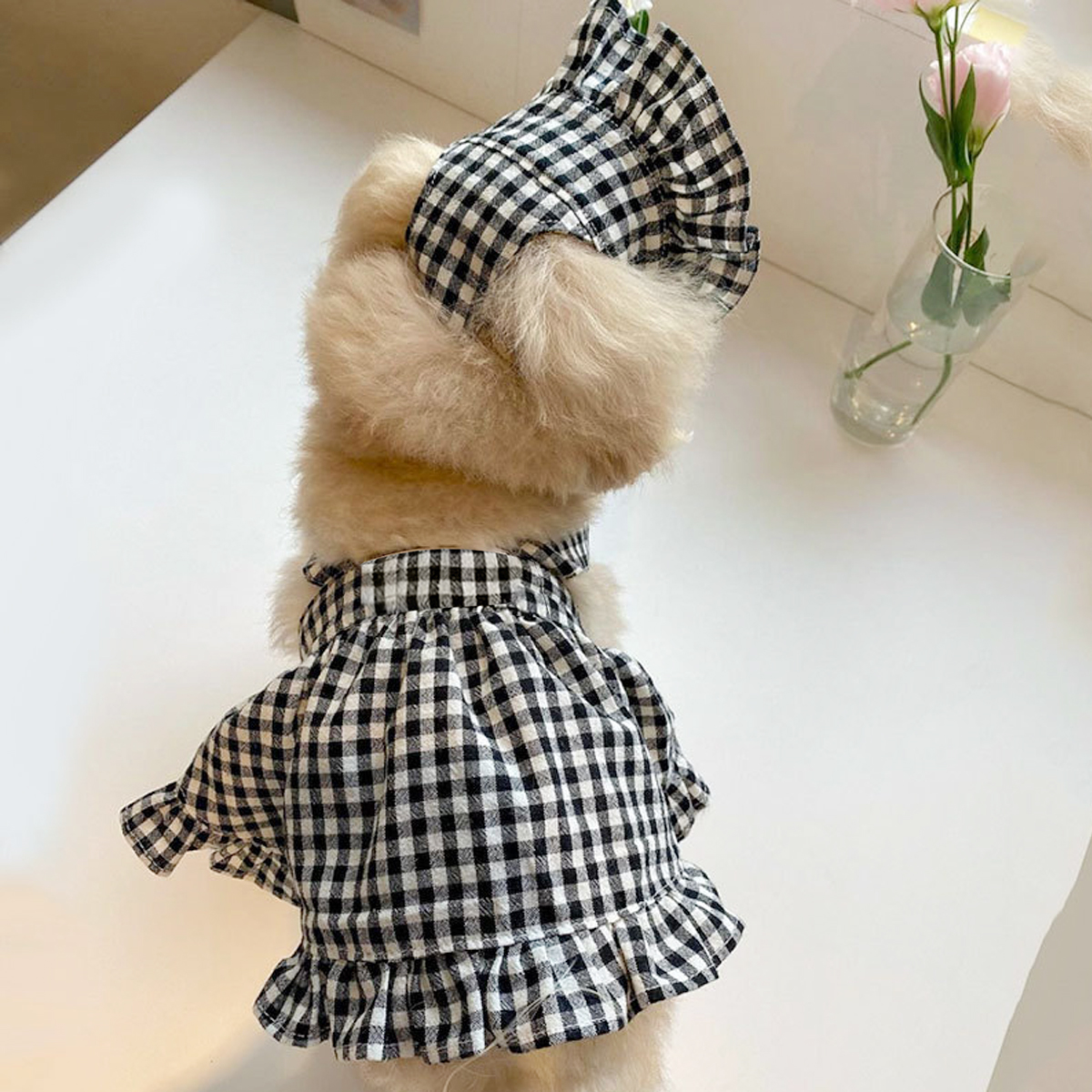 Abbigliamento per cani alla moda Stile moderno Gonna scozzese bianca nera con cappello Completo Vestiti per cani Abiti Accessori per animali Vestiti estivi per cuccioli