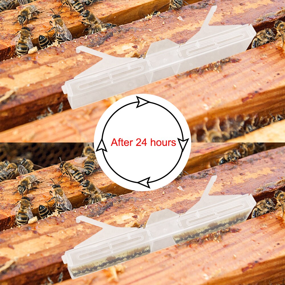 HILIFE scarabée insectes pièges à insectes antiparasitaire ménage extérieur petits outils d'apiculture fournitures de jardin