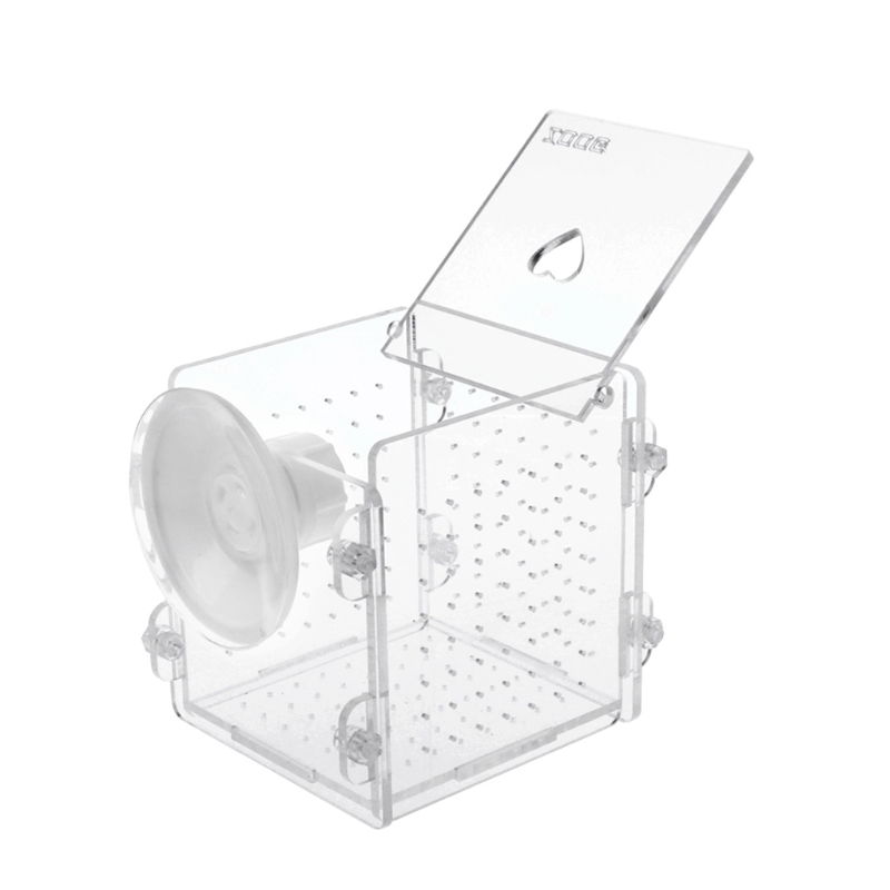 Aquarium Visteelt Isolatie Box Aquarium Incubator Fokker Voor Baby Vis: Default Title