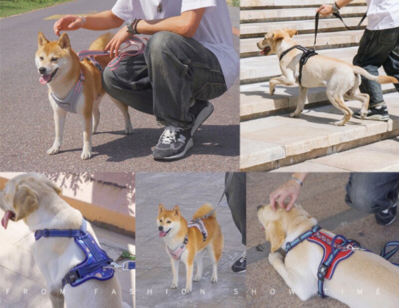 Mesh Harness Vest Adjustable Dog Harness Reflective Safe Harness Dog Breast Strap Leash Rope Dog Rope Dog Chain Dog Leash