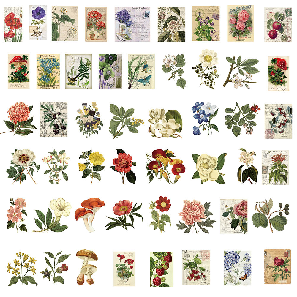 50 przezroczyste naklejki z motywem roślin w stylu vintage, wodoodporne, do dekoracji zwierząt, naklejek na notatniki i gitary