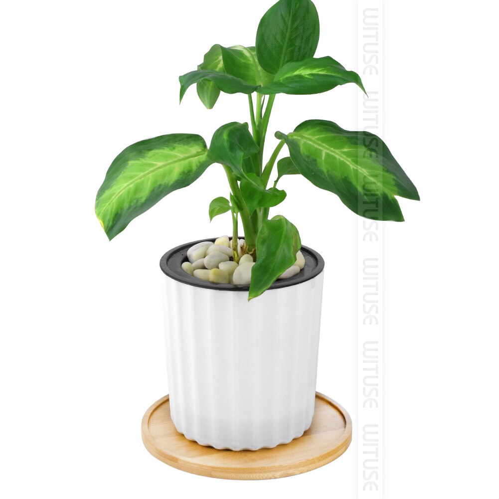 Wituse 12 stile blomsterkasser underkop keramisk sukkulent plantepotte potter bambus stativ desktop geometri glaseret vase bambus bakke