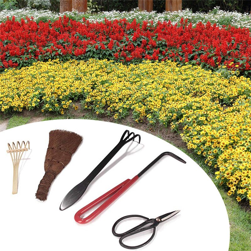 TTLIFE 5PCS Set Bonsai Tool Kit Basic Care Set Root Rake Shear Root Pick Moss Brush Stiff Bamboo Brush with Bag Garden Supplies