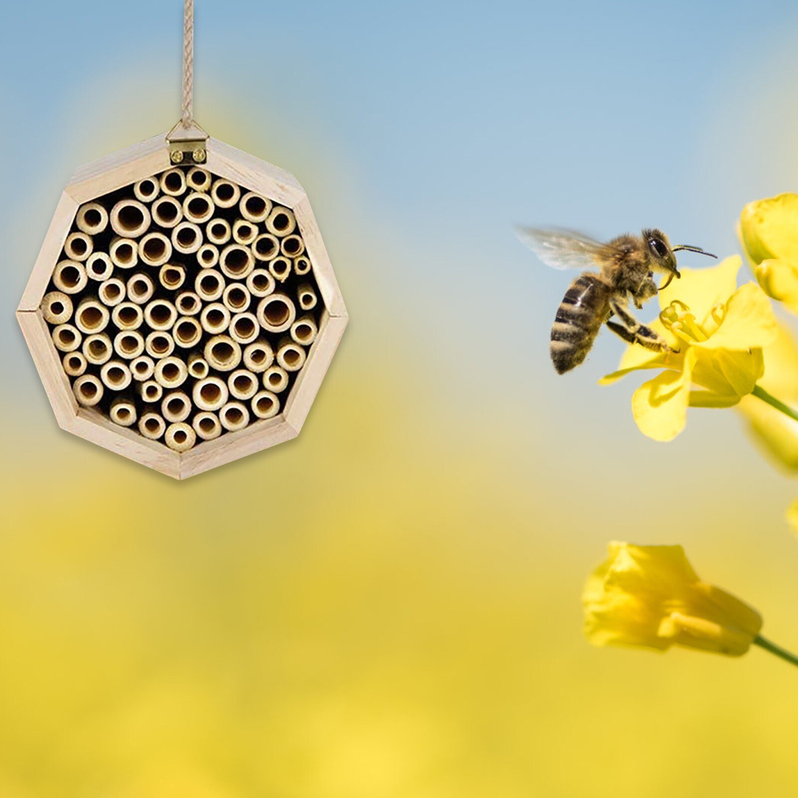 Panal de abeja de bambú Natural hecho A mano, casa para abejas en albañil, apiario, llama A polinizadores de abejas, , novedad de