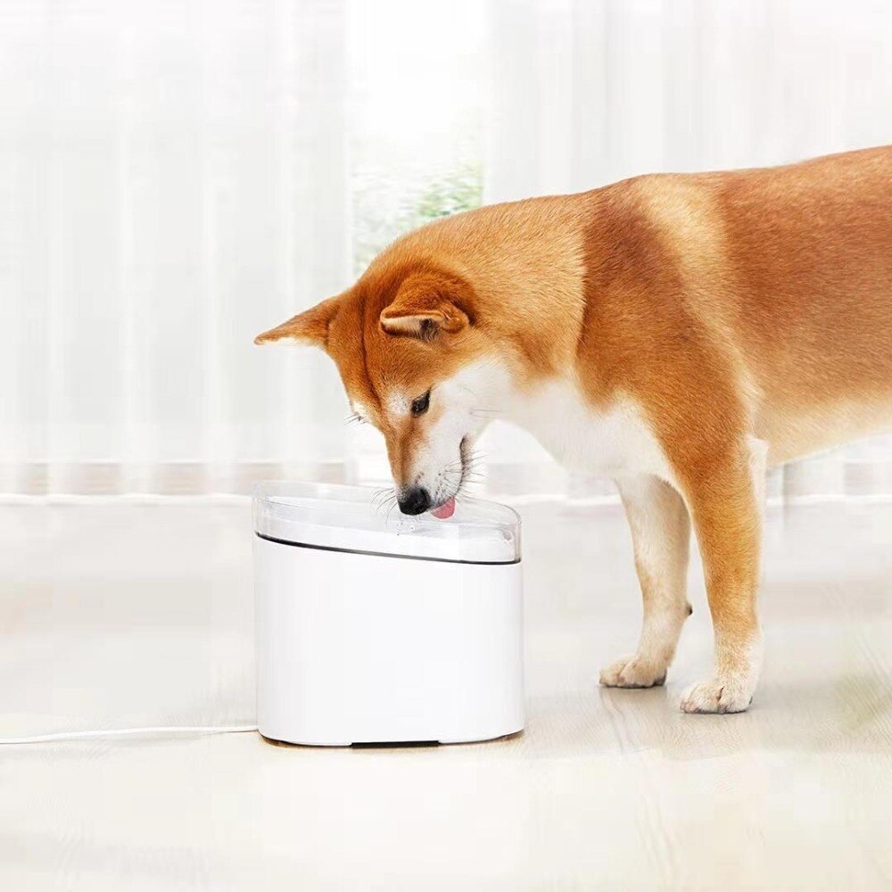 Original xiaomi killing hvalp kæledyr vanddispenser smart hund kat elektrisk drikkeskål springvand automatisk kat levende vand – Grandado