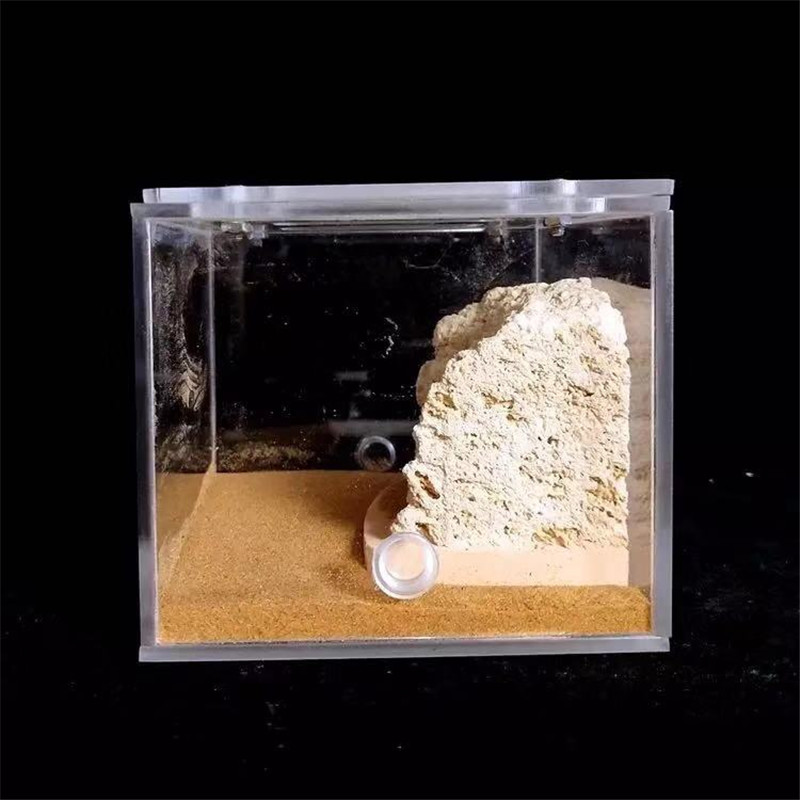 Sand Included Bionic Acrylic &amp; Gypsum Ant Nest Housing Ants Farm Formicarium For Ant Colony