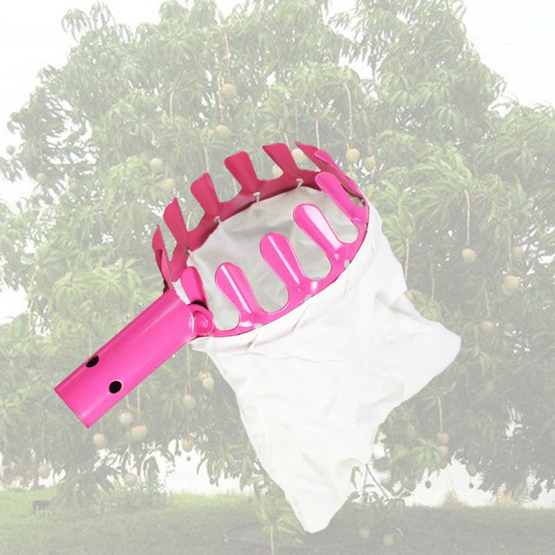 Metal Fruit Picker Orange Peach Pick Tools Garden Orchard High Tree Picking Kit