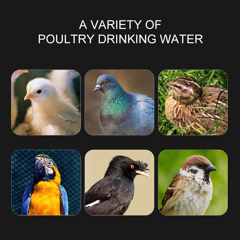5/10/50 stk automatisk kyllingevagtel drikker drikker til kyllinger skål med gul brystvorte gård fugle drikkevandssystem