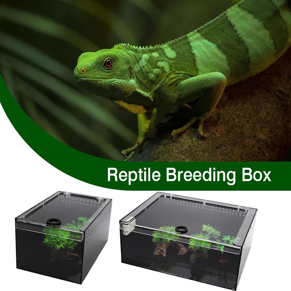 Clear Reptile Breeding Box Small Large Breathable ... – Vicedeal