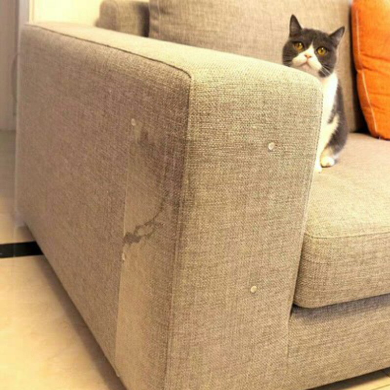 2Pcs/set Pet Large Scratch Guard Mat Protection Sofa Guard Self-Adhesive Couch Guard for Cat Furniture Chair Protector Guards