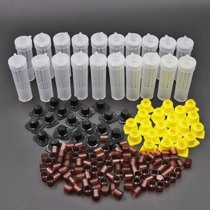 Bees Tools Beekeeping Cages King Queen Rearing Cupkit System Bee Catcher Box Cell Cups Cage Nicot Complete Kit Apicultura