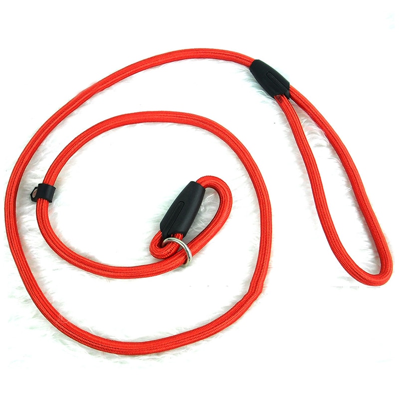 Laisse pour animal de compagnie, corde en Nylon, réglable, laisse pour chiot, sangle de Traction, collier pour chiot, de