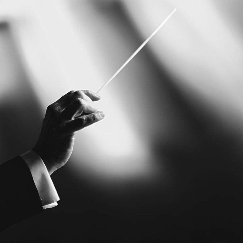 Muziek Dirigent Batons, Imitatie Agaat Handvat Orkest Uitvoeren Baton Muziek Batons (Zwart)