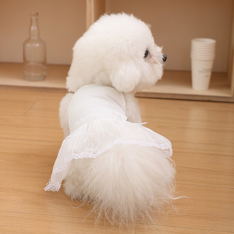 Vestiti rinfrescanti per cani Bretelle per animali domestici Vestito per cani Pizzo traspirante Sottile Gonna per cuccioli chihuahua Bichon Barboncino costume per cani per ragazze 2025 Nuovo: S / Colore rosa