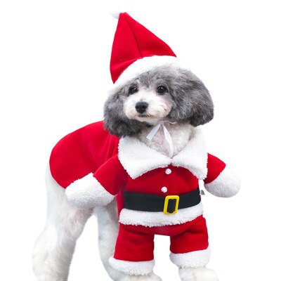 Jul kæledyr hund kat tøj sjov julemanden kostume til hunde katte vinter varm hund tøj chihuahua mops yorkshire tøj: M / Jul
