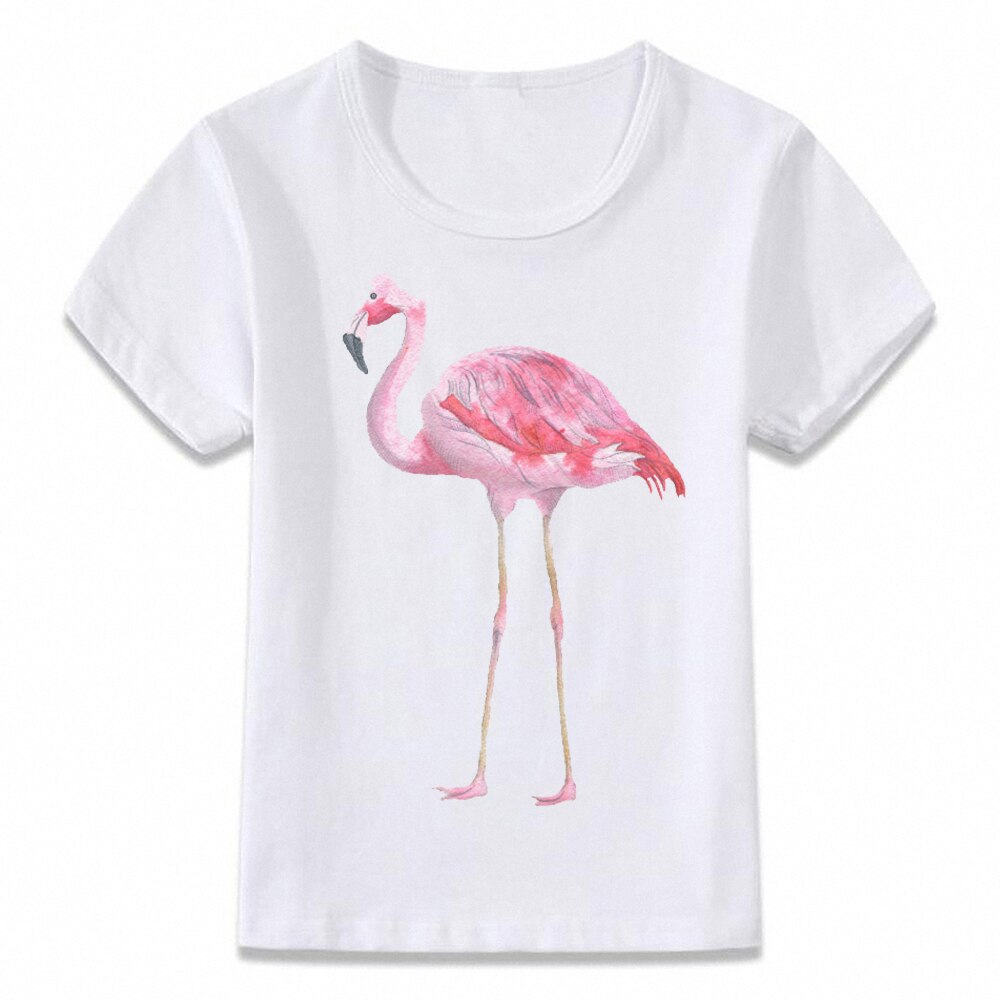 Ropa para niños, camiseta rosa con flamencos para niños y niñas, camisetas para niños pequeños, camiseta oal030: 5 años