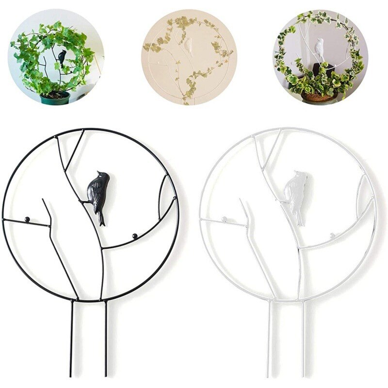 Haveespalier klatreplante støtte pæl cirkel rund form stativ ramme vinstokke til mini indendørs planter blomster grøntsager