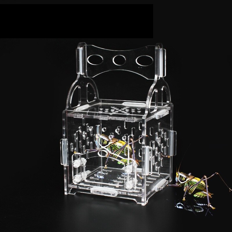 Acrylic Spider Insect Box Mini Reptile Terrarium Tank Transparent Bug Catcher Cage Kids Nature Exploration Tools