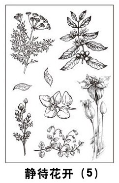 JIANWU Steampunk Mechanische Klar Briefmarken transparent Silikon Dichtung für DIY Scrapbooking Fotoalbum Karte, Der Handwerk Liefert: jingdaihuakai 5