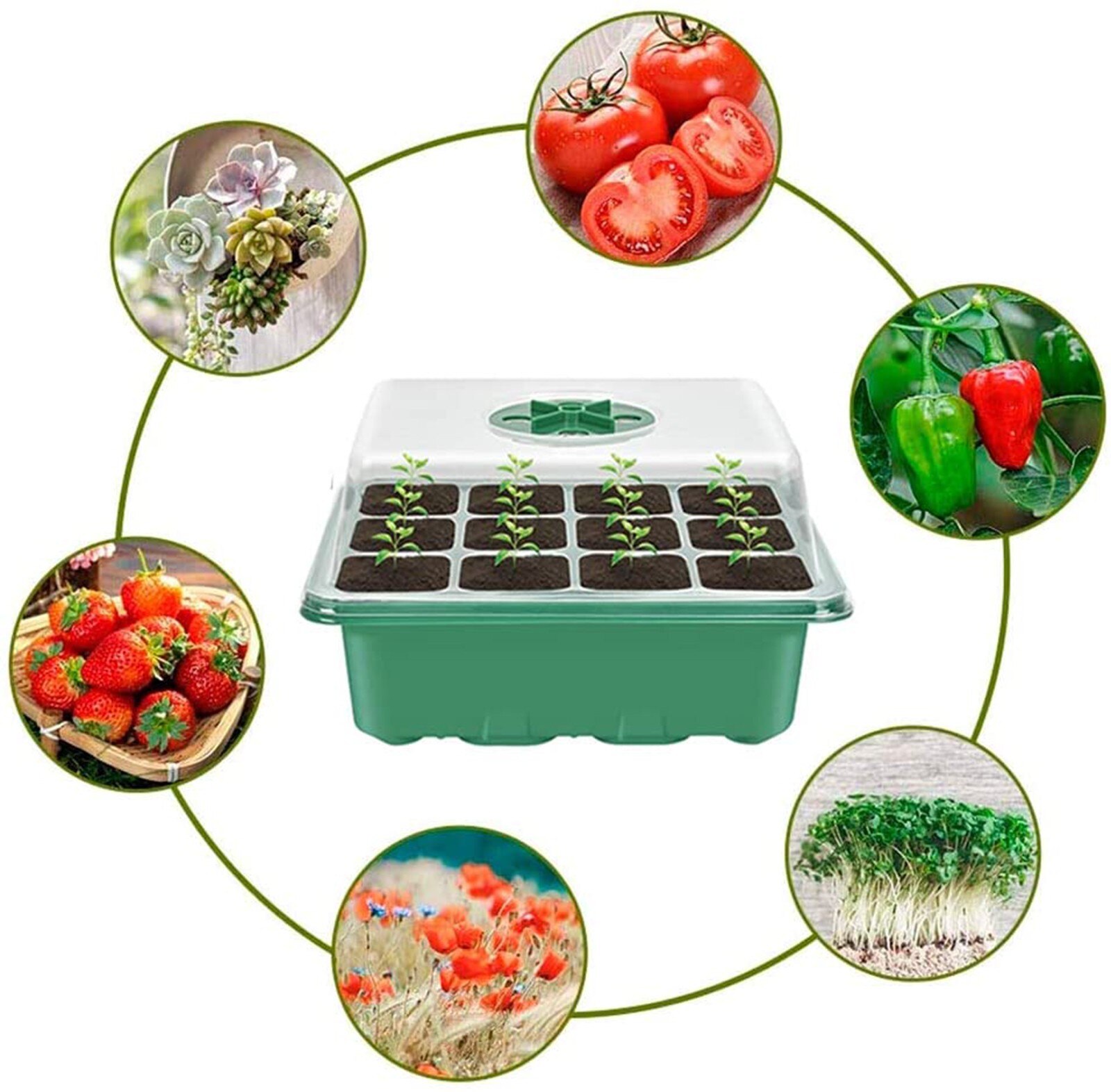3 Piece Starter-Box Seed Propagation-Box Seedling Indoor Greenhouse Propagation Box Mini Greenhouse Propagation Set Nursery Pots