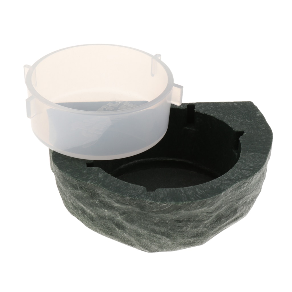 2 stk mini magnet gekko mater hylle reptil terrarium dekorativ fôringe bolle matte holder kopp gekko naturlig stein se hylle