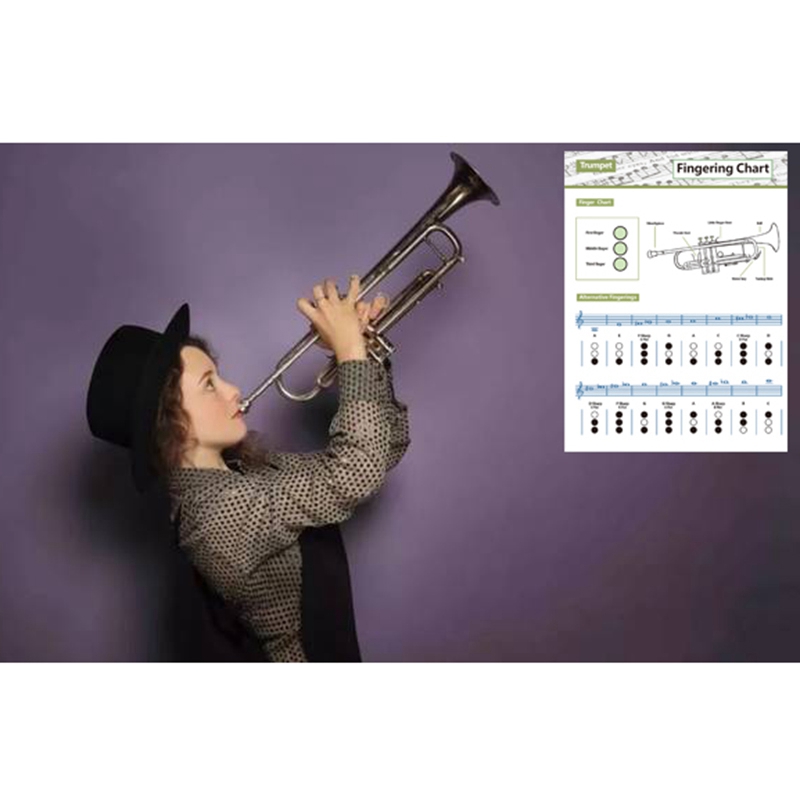 -Trumpet Practice Chart Chord Trumpet Fingering Chart Trumpet Fingering Chart Music Chords Poster