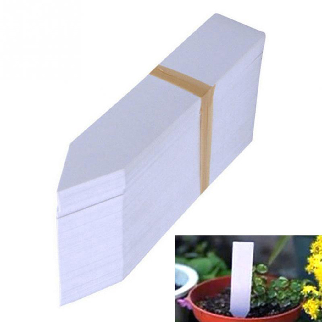 100 Pcs Plastic Plant Zaad Labels Pot Marker Kwekerij Stake Tags 10 Cm X 2 Cm Plant Bloemen Etiket tuin Decora Supply # L5