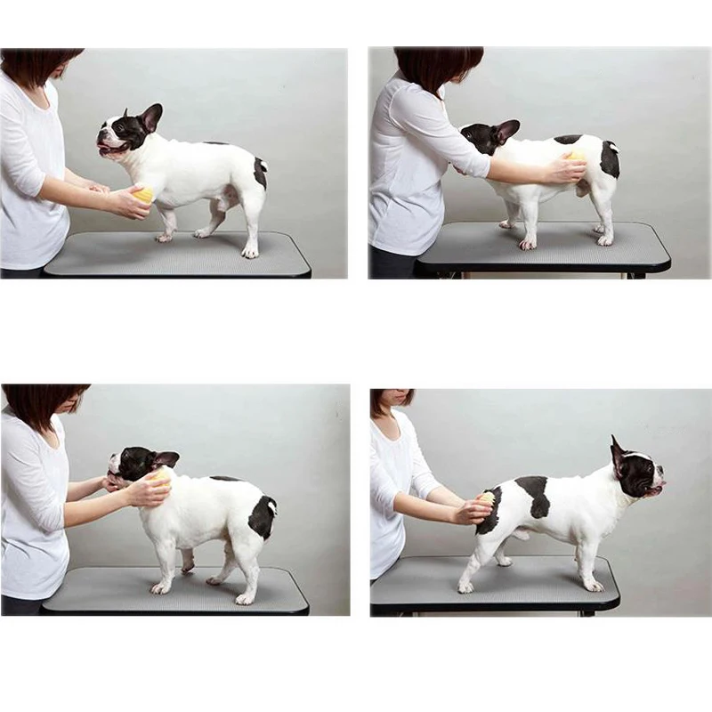Brosse de Massage pour animaux de compagnie, brosse de lavage pour chien et chat, peigne nettoyant pour chiot, outils de lavage, poils doux en Silicone, nettoyage rapide