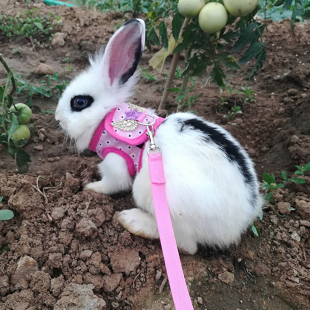 Arnés para hámster, correa ajustable para conejillo de indias, Chinchilla, ratones, Hurón, cuerda de tracción al aire libre, accesorios para animales pequeños