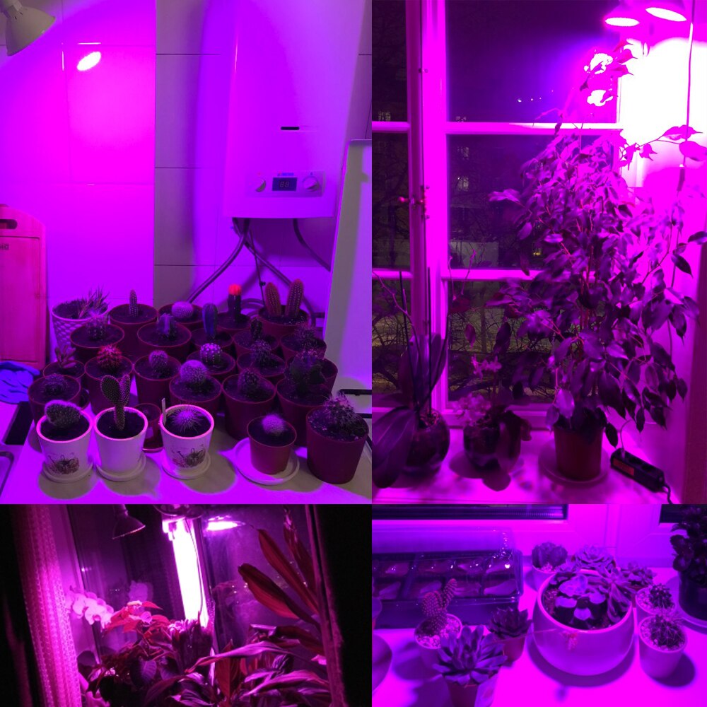 Neue voll Spektrum E27 60 126 200 Leds verrotten Blau LED wachsen Lampen für Blüte und Hydrokultur Pflanzen drinnen draussen Wachsen Licht