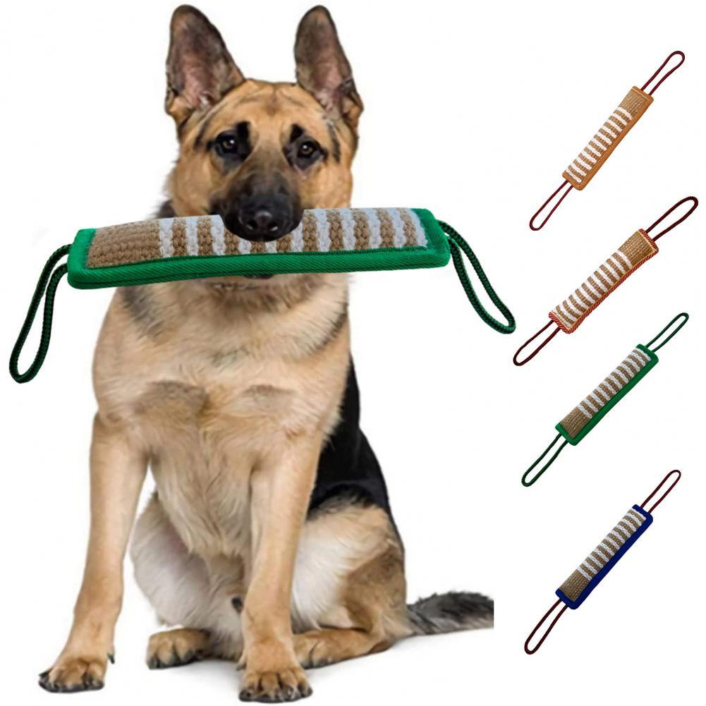 Jouet mordant pour chien, bâton robuste, motif rayé, soins dentaires, entraînement, oreiller