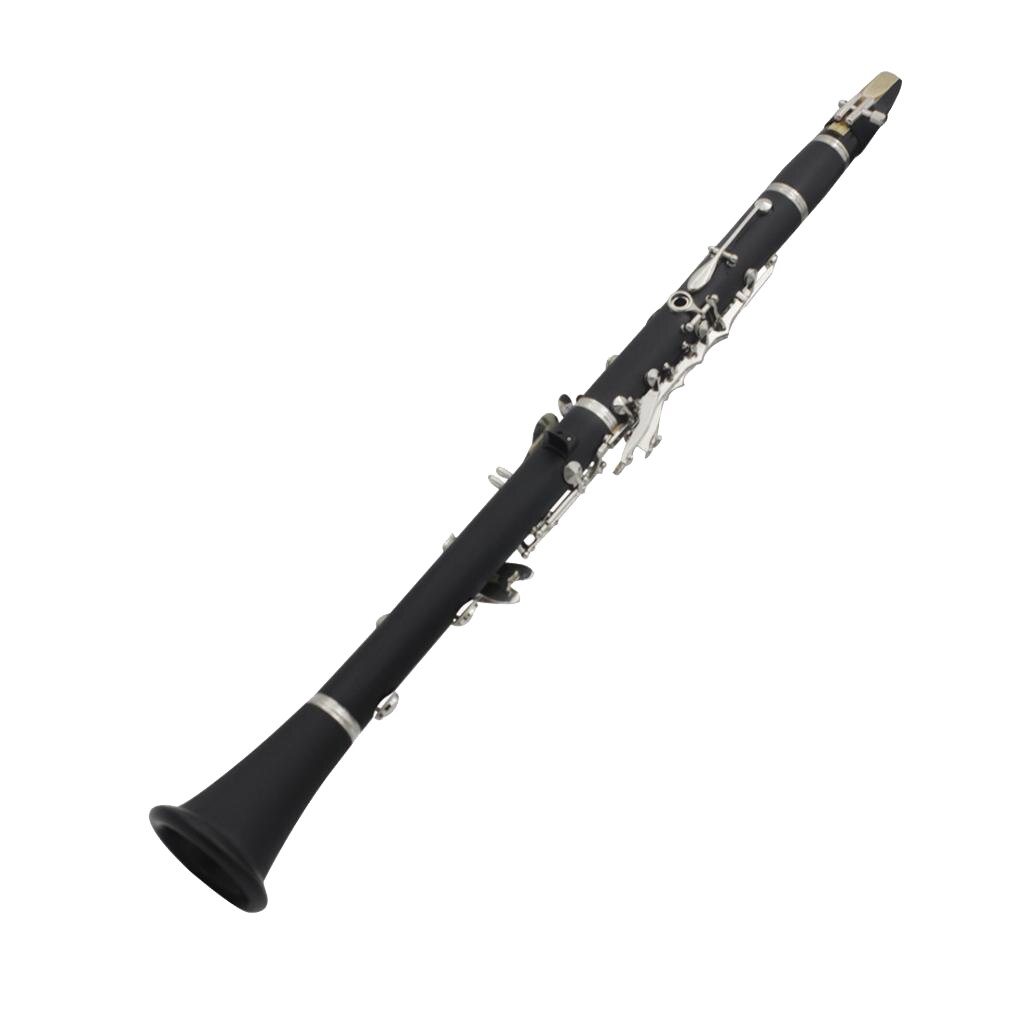 Zwart Eboniet Student Klarinet Beginner Klarinet Met Case