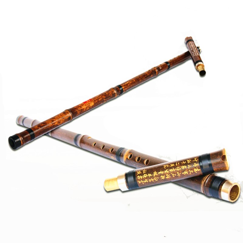 Kinesisk bambusfløjte xiao not dizi f/g key xiao tur horn fløjte hale instrumentos musicais profissionais spiller flauta kina