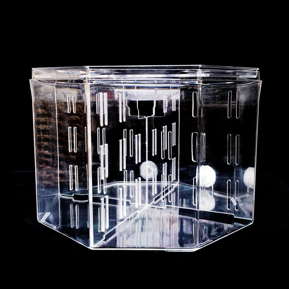 Betta-caja de aislamiento acrílica para acuario, decoración de oficina para acuario Ornamental: B