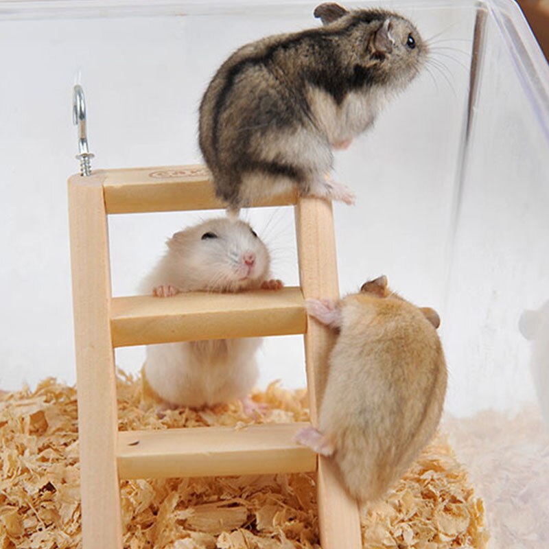 Hamster labyrint träleksaker rör tunnel bur bur gungbräda hus regnbåge gunga små husdjur leka leksaker för råttmus möss hamstrar
