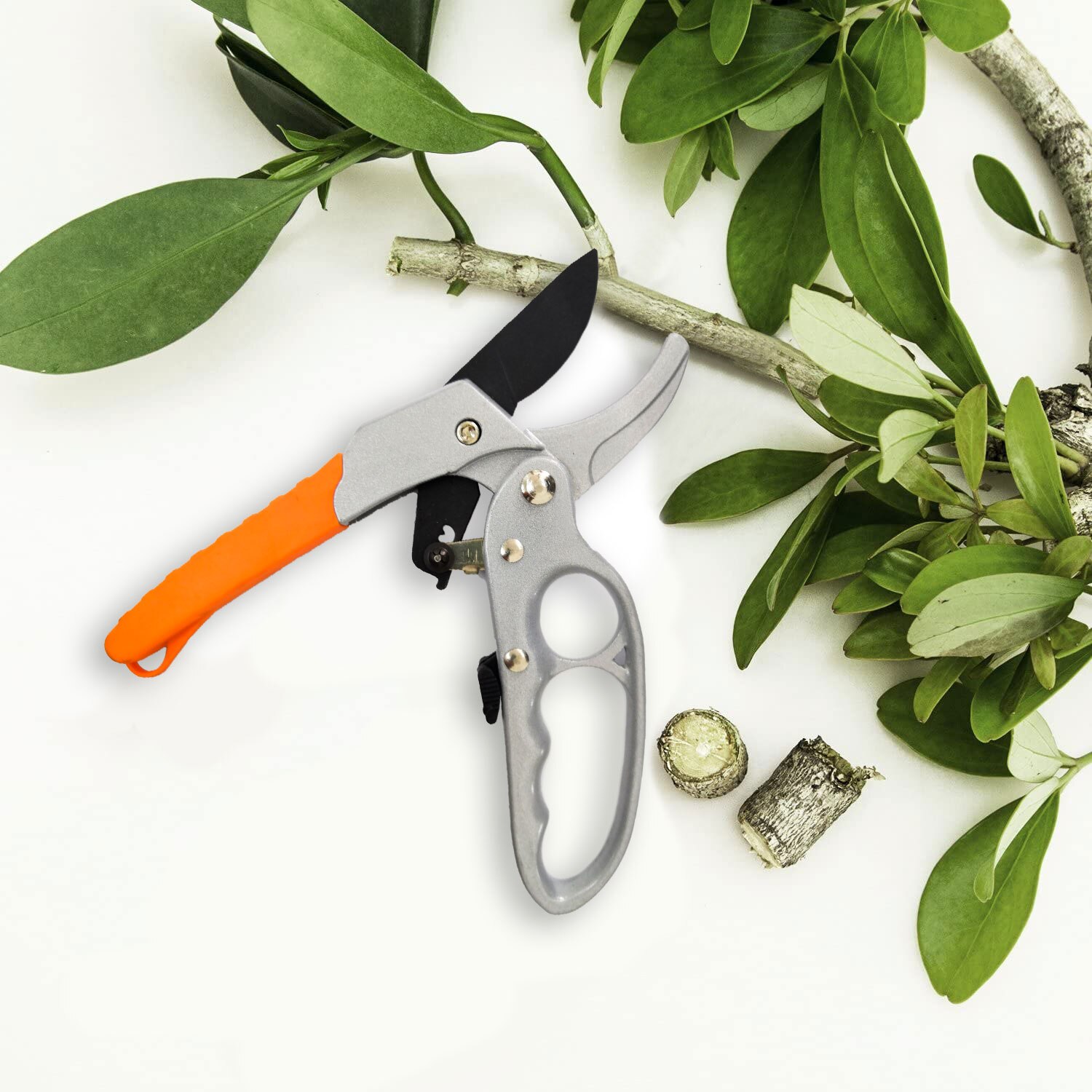 cesoia-par-potatura-tagliarami-un-cricchetto-usten-grandado