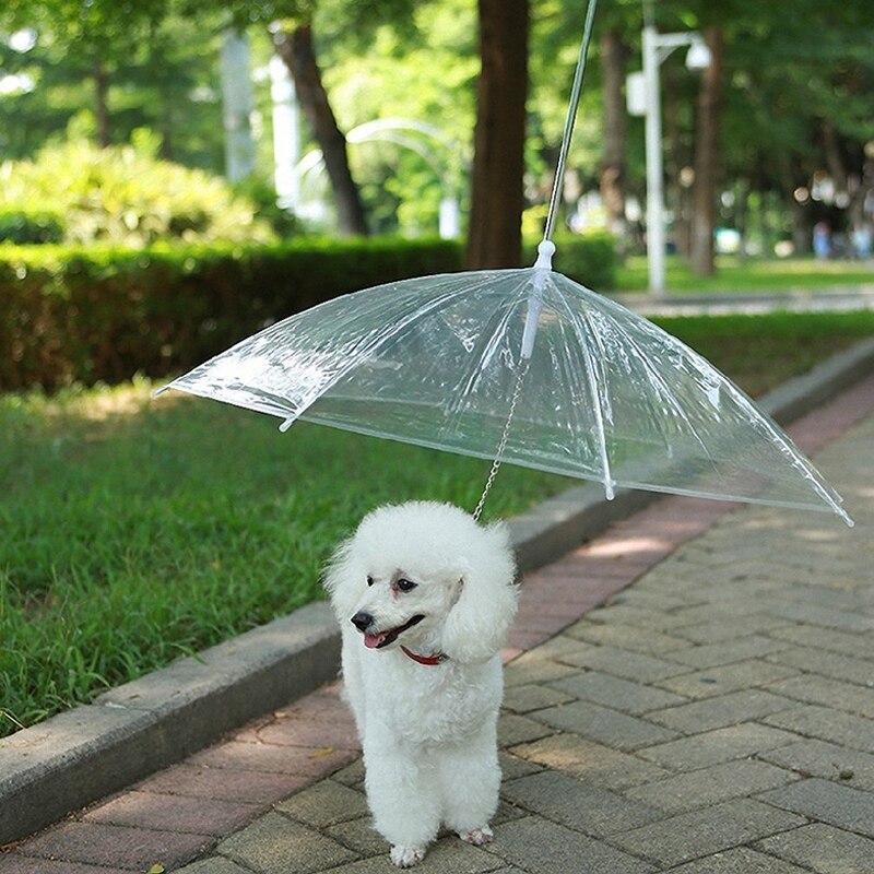 de paraguas para mascotas, material de lluvia para mascotas, paraguas impermeable para perros y gatos