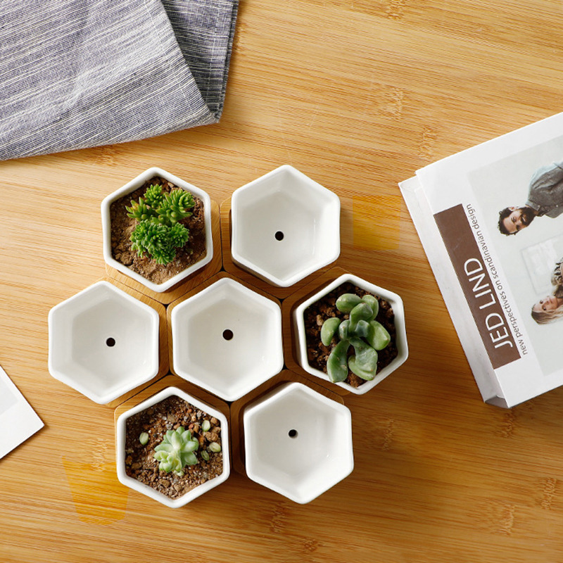 Maceta de cerámica hexagonal blanca con bandeja, maceta Europea Simple, contenedor de plantas suculentas, macetas pequeñas para bonsái