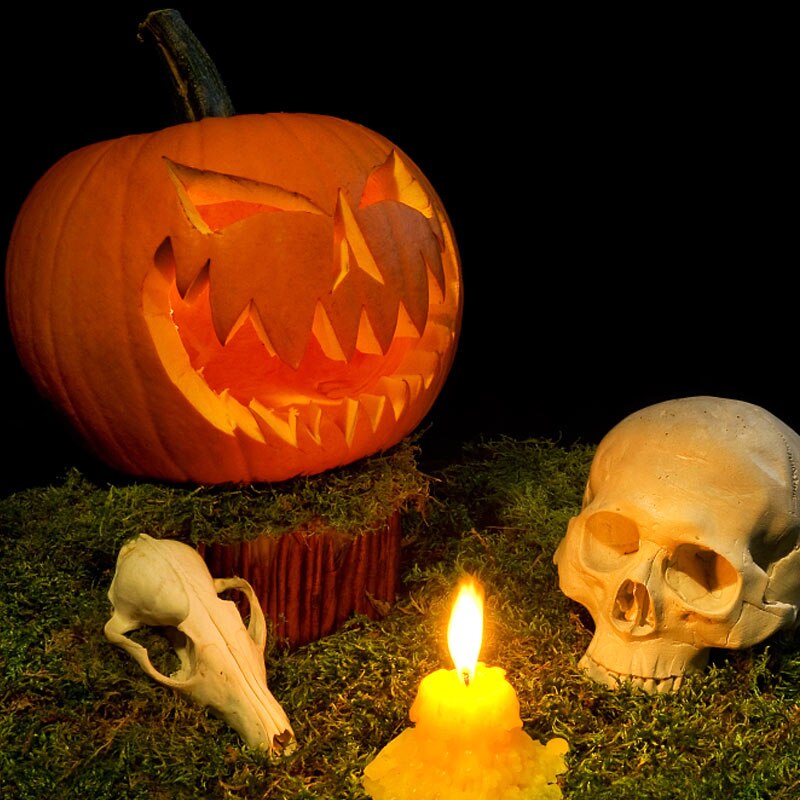 14pcs Set Pumpkin Carving Cutter Tool Kit Carve DIY Durable Reusable For Halloween Lanterns C1