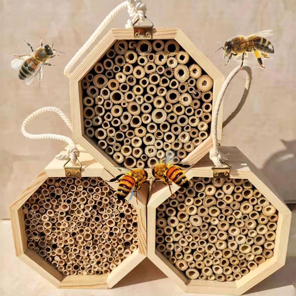 Creatieve Houten Buis Bijenkorf Insect Huis Paring Box Tuin Bijenteelt Supply