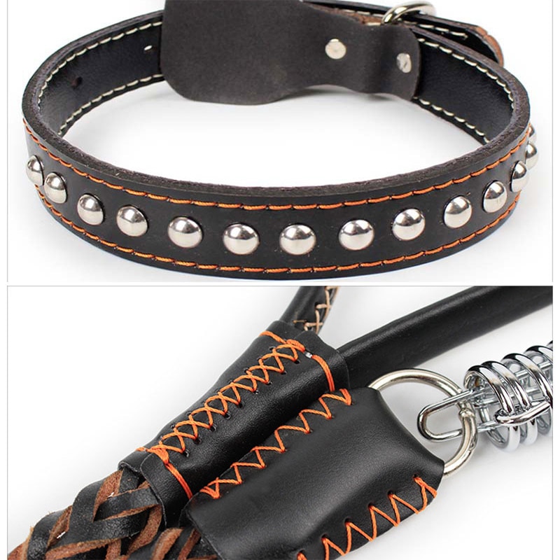 Dog Supplies Leather Weave Buffer Spring Pet Long Leash Traction Rope Collar Set For Big Dogs Leather Braid Collar and Leash Set