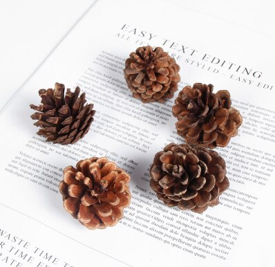 Foto rekvisitter tørrede blomster retro pinecone ornamenter placeret ornamenter jul udgør baggrund klud dekoreret mad fotografering: 5 stykker (3-5cm)