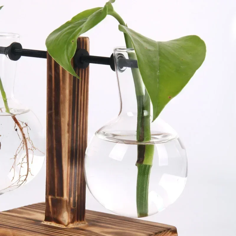 Hydrokultur-Pflanze, Terrarium, Vasevase, Dekoration für Zuhause, Glasflasche, Hydrokultur-Desktop-Dekoration, Büro, grüne Pflanze, kleiner Topf