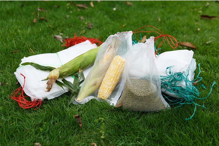 50 stk / sæt supermarked løbebånd genanvendelig beskyttelsespose til frø iblødsætning spiring frugt mesh poser haven grøntsager nylon